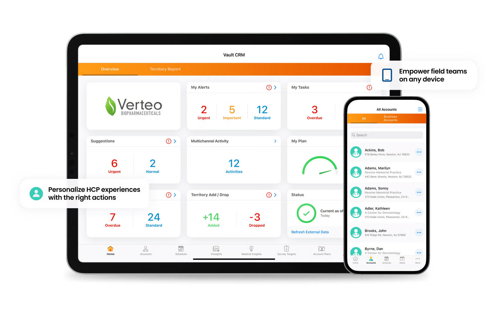 Interface Veeva CRM
